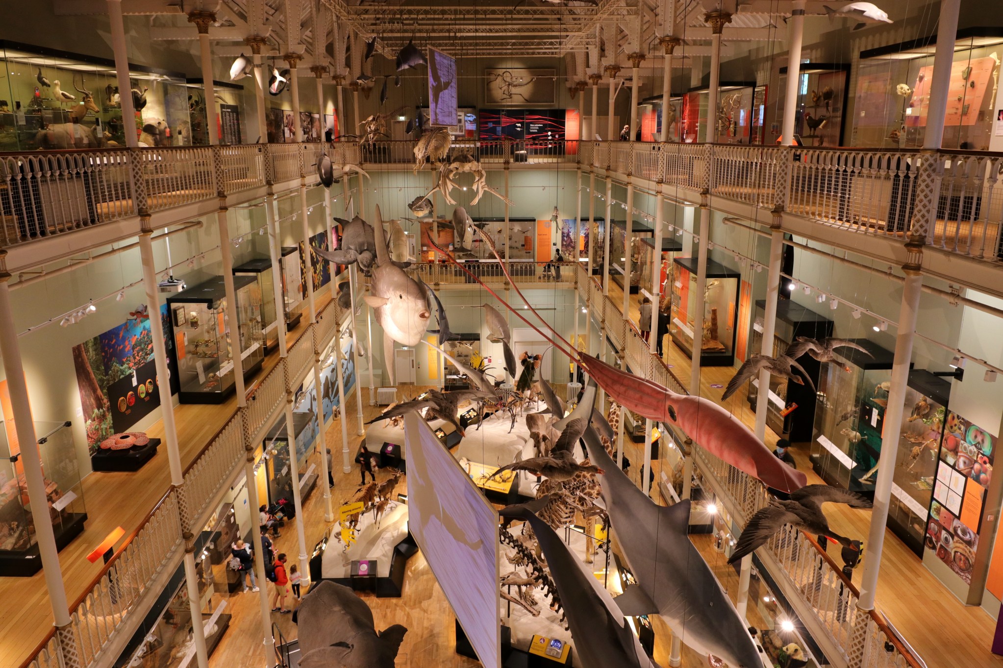 Some Of The Best Things To See At The National Museum Of Scotland In some-of-the-best-things-to-see-at-the-national-museum-of-scotland-in