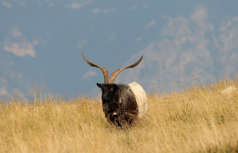 Your Guide To Visiting Monte Baldo Italy The Mountain Between Sky And your-guide-to-visiting-monte-baldo-italy-the-mountain-between-sky-and
